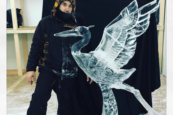 cigno