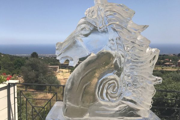testa-di-cavallo