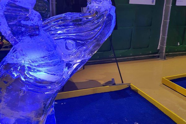 marco-torrisi-scultura-di-ghiaccio-terni